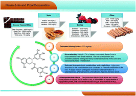 Graphical abstract: Atheroprotective effects of (poly)phenols: a focus on cell cholesterol metabolism
