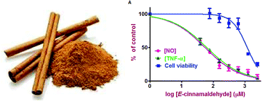 Graphical abstract: Anti-inflammatory activity of cinnamon (C. zeylanicum and C. cassia) extracts – identification of E-cinnamaldehyde and o-methoxy cinnamaldehyde as the most potent bioactive compounds