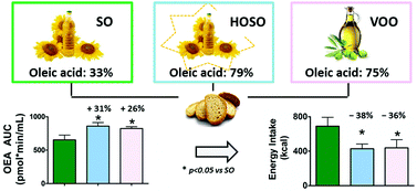 Graphical abstract: Oleic acid content of a meal promotes oleoylethanolamide response and reduces subsequent energy intake in humans