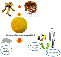 Graphical abstract: Enhanced bioavailability and safety of curcumagalactomannosides as a dietary ingredient