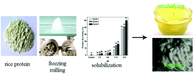 Graphical abstract: Solubilization by freeze-milling of water-insoluble subunits in rice proteins