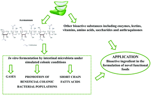 Graphical abstract: In vitro assessment of the prebiotic potential of Aloe vera mucilage and its impact on the human microbiota