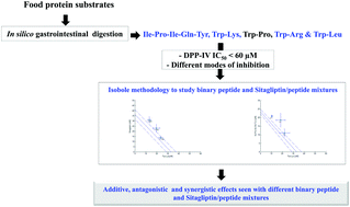 Graphical abstract: Utilisation of the isobole methodology to study dietary peptide–drug and peptide–peptide interactive effects on dipeptidyl peptidase IV (DPP-IV) inhibition