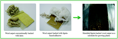 Graphical abstract: An enzymatic approach to develop a lignin-based adhesive for wool floor coverings