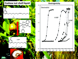 Graphical abstract: Selective ethenolysis and oestrogenicity of compounds from cashew nut shell liquid