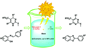 Graphical abstract: Synthesis of 2-substituted pyrimidines and benzoxazoles via a visible-light-driven organocatalytic aerobic oxidation: enhancement of the reaction rate and selectivity by a base