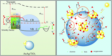 Graphical abstract: Selective oxidation of methanol to methyl formate on catalysts of Au–Ag alloy nanoparticles supported on titania under UV irradiation