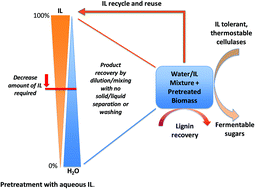 Graphical abstract: Understanding the role of water during ionic liquid pretreatment of lignocellulose: co-solvent or anti-solvent?