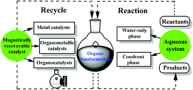 Graphical abstract: Magnetically recoverable nanoparticles as efficient catalysts for organic transformations in aqueous medium