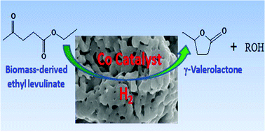 Graphical abstract: Cobalt catalysts: very efficient for hydrogenation of biomass-derived ethyl levulinate to gamma-valerolactone under mild conditions