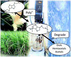 Graphical abstract: Sustainable polyacetals from isohexides