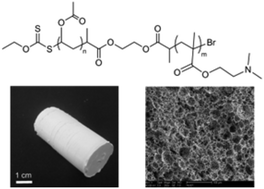 Graphical abstract: Synthesis of a CO2-philic poly(vinyl acetate)-based cationic amphiphilic surfactant by RAFT/ATRP and its application in preparing monolithic materials