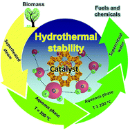 Graphical abstract: Hydrothermally stable heterogeneous catalysts for conversion of biorenewables