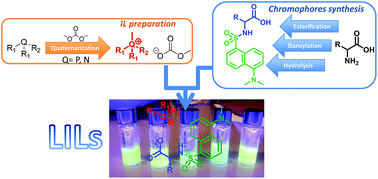 Graphical abstract: Luminescent dansyl-based ionic liquids from amino acids and methylcarbonate onium salt precursors: synthesis and photobehaviour
