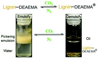 Graphical abstract: CO2-responsive diethylaminoethyl-modified lignin nanoparticles and their application as surfactants for CO2/N2-switchable Pickering emulsions