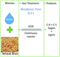 Graphical abstract: Simultaneous and selective recovery of cellulose and hemicellulose fractions from wheat bran by supercritical water hydrolysis