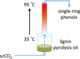 Graphical abstract: Supercritical fluid rectification of lignin microwave-pyrolysis oil