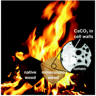 Graphical abstract: Hybrid wood materials with improved fire retardance by bio-inspired mineralisation on the nano- and submicron level