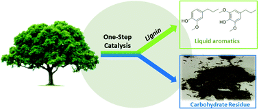 Graphical abstract: A synergistic biorefinery based on catalytic conversion of lignin prior to cellulose starting from lignocellulosic biomass