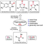 Graphical abstract: Sustainable conversion of carbon dioxide: the advent of organocatalysis