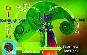 Graphical abstract: Chameleon behaviour of iodine in recovering noble-metals from WEEE: towards sustainability and “zero” waste
