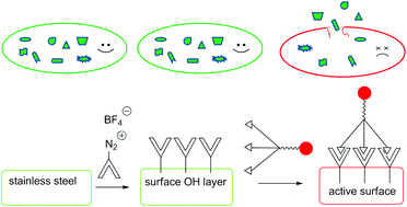 Graphical abstract: A contact active bactericidal stainless steel via a sustainable process utilizing electrodeposition and covalent attachment in water