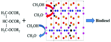 Graphical abstract: Potassium modified layered Ln2O2CO3 (Ln: La, Nd, Sm, Eu) materials: efficient and stable heterogeneous catalysts for biofuel production