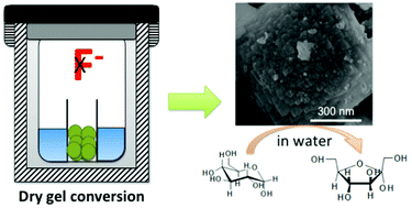 Graphical abstract: Fluoride-free synthesis of a Sn-BEA catalyst by dry gel conversion
