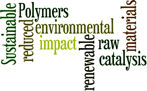 Graphical abstract: Sustainable polymers: reduced environmental impact, renewable raw materials and catalysis