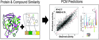 Graphical abstract: Modelling ligand selectivity of serine proteases using integrative proteochemometric approaches improves model performance and allows the multi-target dependent interpretation of features