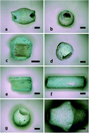 Graphical abstract: Nondestructive analysis of faience beads from the Western Zhou Dynasty, excavated from Peng State cemetery, Shanxi Province, China