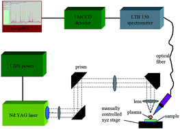 Graphical abstract: A novel approach for the quantitative analysis of multiple elements in steel based on laser-induced breakdown spectroscopy (LIBS) and random forest regression (RFR)