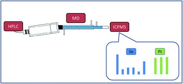 Graphical abstract: Evaluation of a membrane desolvator for LC-ICP-MS analysis of selenium and platinum species for application to peptides and proteins