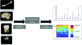 Graphical abstract: Current approaches to calibration of LA-ICP-MS analysis
