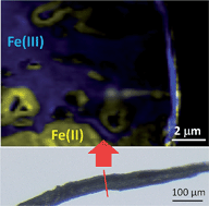 Graphical abstract: Mapping iron gall ink penetration within paper fibres using scanning transmission X-ray microscopy