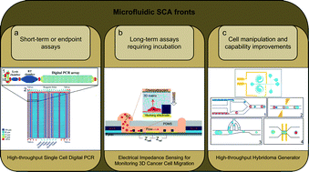 Graphical abstract: Frontier microfluidic techniques for short and long-term single cell analysis