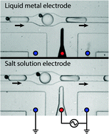 Graphical abstract: Generating electric fields in PDMS microfluidic devices with salt water electrodes