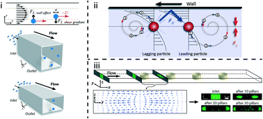 Graphical abstract: Inertial microfluidic physics