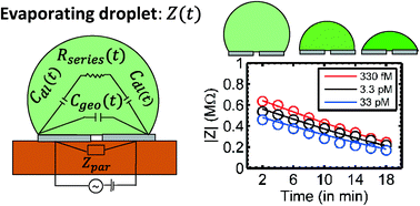 Graphical abstract: Non-faradaic impedance characterization of an evaporating droplet for microfluidic and biosensing applications
