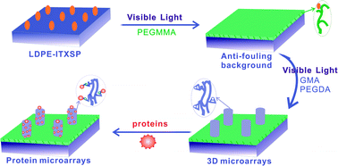 Graphical abstract: An extremely simple method for fabricating 3D protein microarrays with an anti-fouling background and high protein capacity