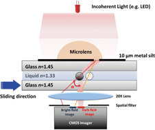 Graphical abstract: A light-sheet microscope compatible with mobile devices for label-free intracellular imaging and biosensing