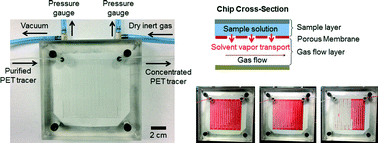 Graphical abstract: Compact microfluidic device for rapid concentration of PET tracers