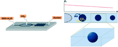 Graphical abstract: Dissolution without disappearing: multicomponent gas exchange for CO2 bubbles in a microfluidic channel