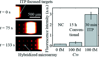 Graphical abstract: Increasing hybridization rate and sensitivity of DNA microarrays using isotachophoresis