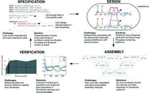 Graphical abstract: Integration of microfluidics into the synthetic biology design flow