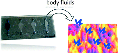 Graphical abstract: OncomiR detection in circulating body fluids: a PDMS microdevice perspective