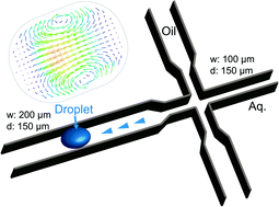Graphical abstract: On the flow topology inside droplets moving in rectangular microchannels