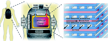 Graphical abstract: The promise of microfluidic artificial lungs