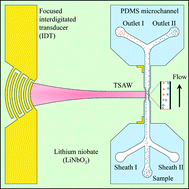 Graphical abstract: Submicron separation of microspheres via travelling surface acoustic waves