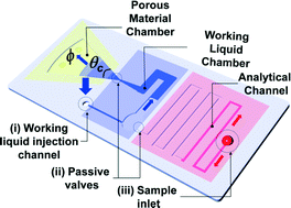 Graphical abstract: Self-powered Imbibing Microfluidic Pump by Liquid Encapsulation: SIMPLE